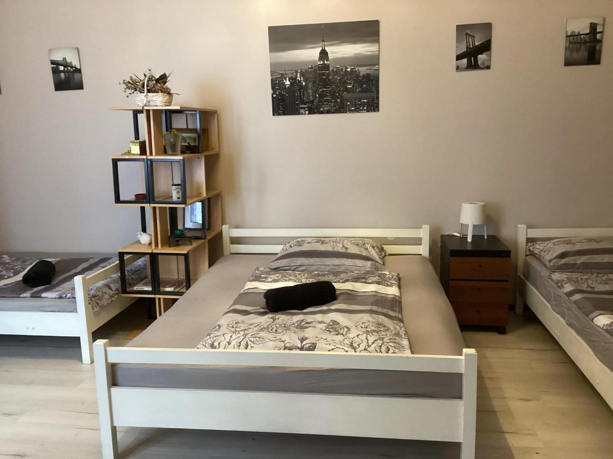 Central Apartments Of Budapest Rum bild